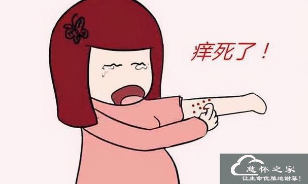 皮肤瘙痒控制(图1)