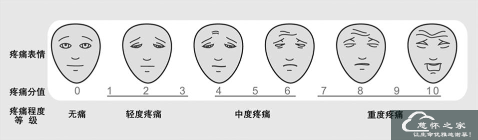 疼痛控制(图3)