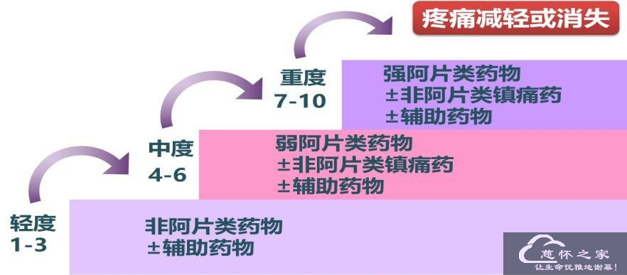 疼痛控制(图6)